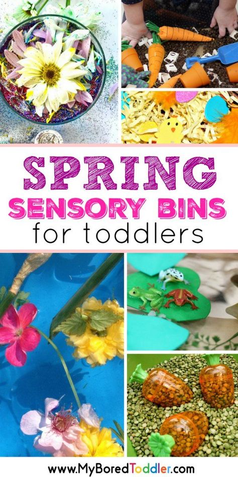 Spring Sensory Bins for Toddlers pinterest Sensory Bins For Toddlers, Spring Activities For Kids, Spring Sensory, Ladybug Crafts, Toddler Sensory, Spring Fun, Toddler Snacks, Spring Theme, Sensory Bin