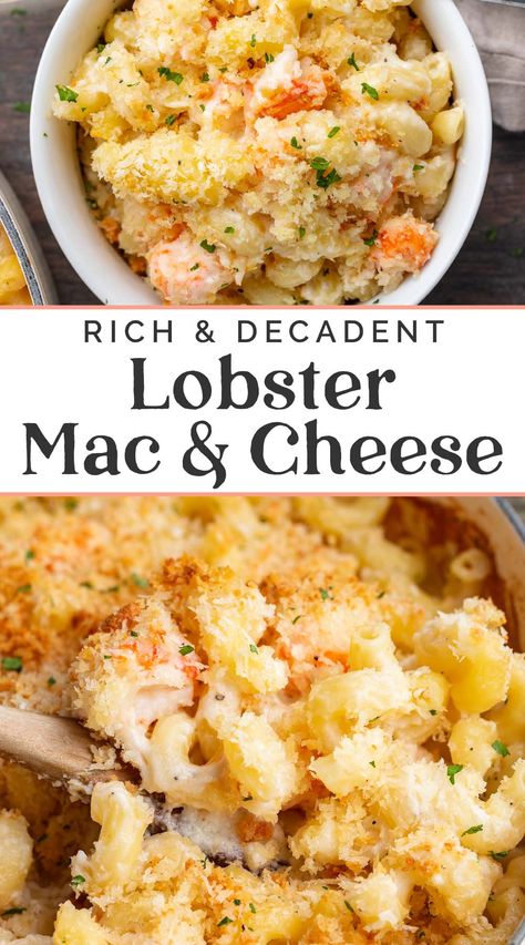 Lobster Mac N Cheese, Lobster Mac N Cheese Recipe, Seafood Mac And Cheese, Bake Mac And Cheese, Lobster Mac, Lobster Mac And Cheese, Lobster Meat, Lobster Recipes, Baked Mac