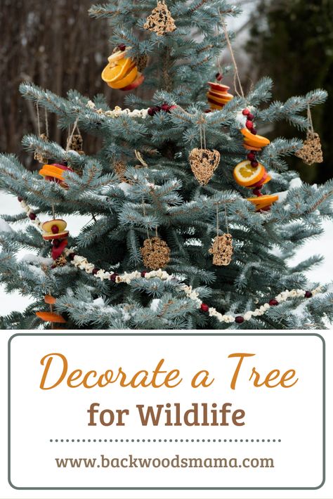 Wildlife Ornaments Diy, Wildlife Tree Ornaments, Christmas Tree Decorations Outdoor, Outside Tree Christmas Decor, Ornaments For Outside Trees, Natural Christmas Decor Outdoor, Bird Suet Recipes Homemade Winter, Bird Friendly Christmas Ornaments, Bird Feeder Christmas Tree