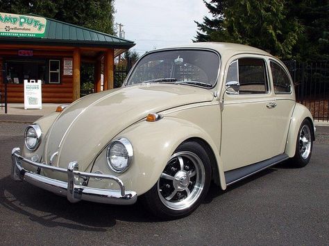 L620 Savanna Beige '67 Beetle | 1967 VW Beetle. 1963 Volkswagen Beetle, Custom Vw Bug, Beetle For Sale, 1972 Volkswagen Beetle, 1979 Vw Beetle Convertible, Volkswagen Beetle Vintage, Volkswagen Beetle 1967, Cafe Racer Moto, Volkswagen Aircooled