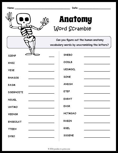 Free Printable Anatomy Word Scramble Word Scramble Games For Adults, Magic Squares Math, Thanksgiving Puzzle, Rebus Puzzles, Scramble Words, Printable Mazes, Printable Puzzles, Numbers For Kids, Word Scramble