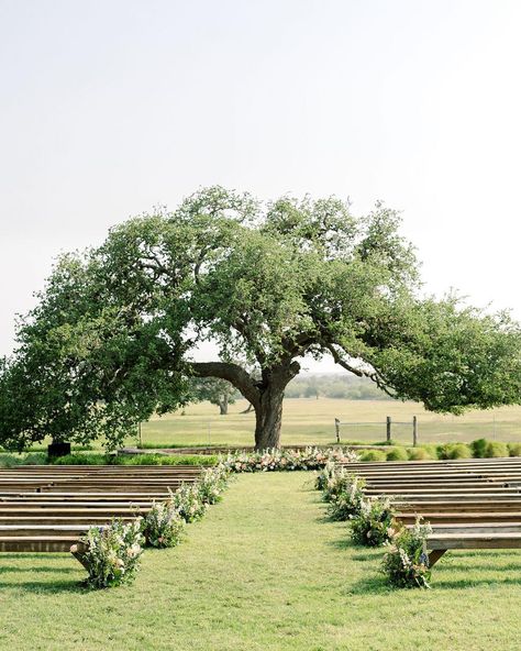 Wedding Under Oak Tree Outdoor Ceremony, Floral Trees Wedding, Outdoor Wedding Under Tree, Dirt Wedding Ceremony, Wedding Ceremony Tree Decor, Wedding Oak Tree, Big Tree Wedding Ceremony, Wedding Ceremony Under A Tree, Wedding Under Oak Tree