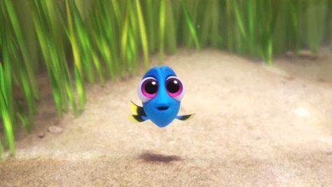 via GIPHY Finding Dory Baby, Baby Dory, Dory Finding Nemo, Disney Gifs, Animals Cartoon, Disneyland Halloween, Film Anime, Film Disney, Finding Dory