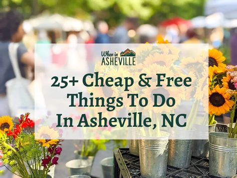 Things To Do In Asheville, North Carolina Vacations, North Carolina Travel, Pisgah National Forest, Wine Food, Biltmore Estate, Free Things To Do, Asheville Nc, Bike Tour