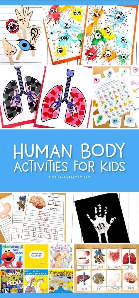 Human Body Activities For Kids | Teaching kids all about their body has never been so interesting and fun! This roundup includes free printables, crafts, art projects and more for preschool and kindergarten. #preschool #kindergarten #earlychildhood #kindergartenworksheets #craftsforkids #kidscrafts #kidsandparenting #teachingkindergarten #prekteacher #artforkids #educationalactivities #learningactivities #ideasforkids #childrenplay My Body Kindergarten Crafts, Body Activities For Kids, Human Body Activities For Kids, Human Body Crafts, Human Body Unit Study, Body Preschool, Body Science, Human Body Activities, Human Body Unit