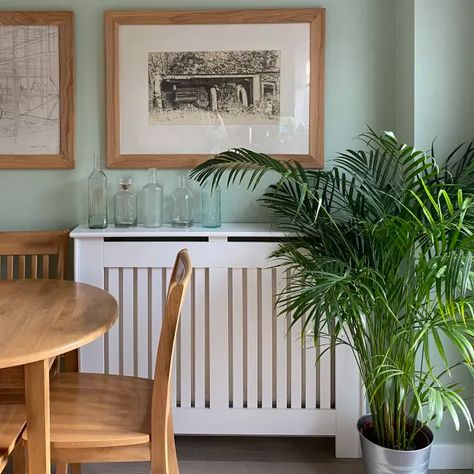 Browse Photos | Apartment Therapy 70s Style Home, Glam Apartment, Green Walls Living Room, Light Green Walls, New Paint Colors, Spring Colours, Ikea Bed, Uk Homes, Green Interiors