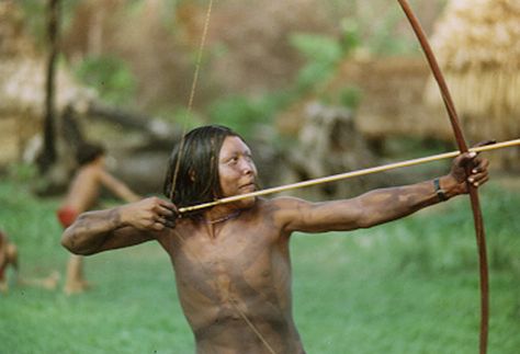 Long bow is kinda interesting Anatomy Studies, Primitive Technology, Long Bow, Archery Bows, Modern Ideas, Traditional Archery, Anatomy Study, Bow And Arrow, Bow Arrows