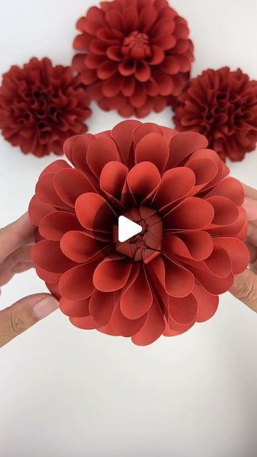 Hey, I’m Judy 👋🏻 Paper Flower Art + Tutorials on Instagram: "Happy Monday 🌺 Hope you’re having a great start to your week! Here’s a look at some red paper flower dahlias 💕  My Mini Dahlia 2 template can be found in my Etsy shop, link in bio!  #paperflowers #diypaperflowers #cricut #teamcricut #cricutmade #cricutcreations #makeitwithmichaels #etsyfinds #handmadewithlove #weddingflowers #paperrose  #paperart #makersgonnamake #diy #handmade #paperdahlia #dahlia #bouquet #weddingbouquet #paperflorals #weddinginsp #paperart #paperartist #weddingdecor #craftinspo #imadethis #igdaily #explorepage #foryou #weddinginspiration" Diy Fall Flowers, Dalia Flower, Event Wall, 2 Template, Paper Dahlia, Dahlia Bouquet, Paper Flower Art, Flower Paper, Red Paper