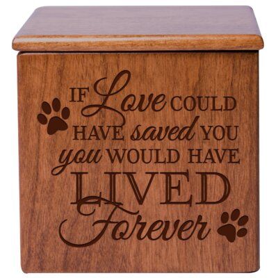 Memory Jewelry, Pet Memory, Memory Ideas, Pet Cremation Urns, Cat Urns, Memory Boxes, Memorial Ideas, Pet Urn, Pet Cremation