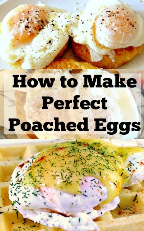 How to Make Perfect Poached Eggs Perfect Poached Eggs, Breakfast Burritos Recipe, Over Easy Eggs, Perfect Eggs, Poached Egg, Easy Eggs, Egg White, Breakfast Foods, Cooking Show