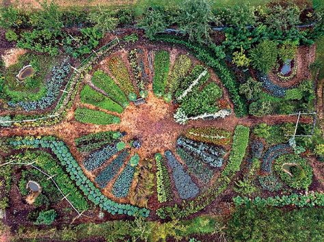 Avantgardens. The mandala garden at Le Ferme du Bec Hellouin in Normandy, France, an experiment in how to grow the most food possible, in the most ecological way possible, and create a farm model that can carry us into a post-carbon future Biodynamic Gardening, Mandala Garden, Garden Pavillion, Ornamental Garden, Vegetable Garden Planner, Garden Magic, Garden Layout Vegetable, Herb Garden Design, Potager Garden