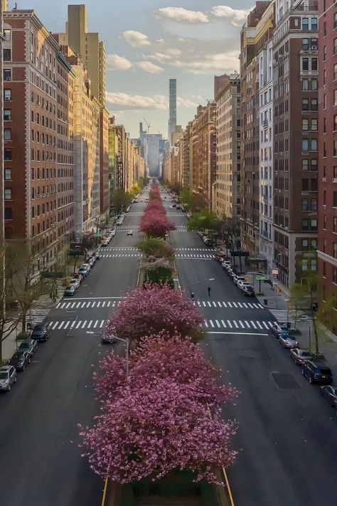 Nyc Upper East Side, Nyc Aesthetic, New York Life, New York Aesthetic, Upper East Side, Nova York, The Plaza, Concrete Jungle, Park Avenue