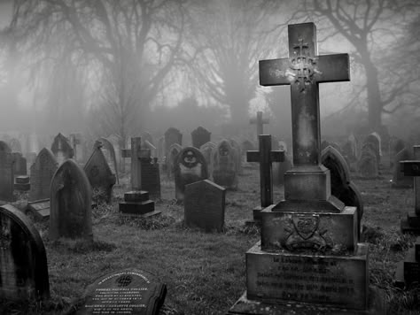 Graveyard Tattoo, Old Cemetery, Cemetery Headstones, Spooky Places, Old Cemeteries, Cemetery Art, Dark Pictures, Gothic Aesthetic, Gothic Art