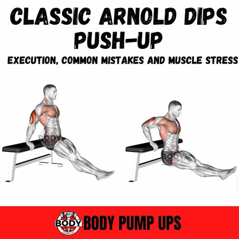 Bench Dip With Straight Legs

Tricep bench dip with straight legs is a simpler version of the standard bench dip that you can use to build your arms at home, at the gym, or even on a park bench while you’re running in the morning.

While still a beginner-friendly move, this variation is slightly tougher because you have to lift and lower a higher proportion of your own bodyweight.

#push #pushup #pickpushup #elevatedpikepushups #elevatedpikepushup #elevatedpickguard #pushupchallenge #pushupworko Bench Tricep Dips, Push Exercises, Bench Dips, Pike Pushup, Running In The Morning, Arms At Home, Push Workout, Push Day, Workout Goals