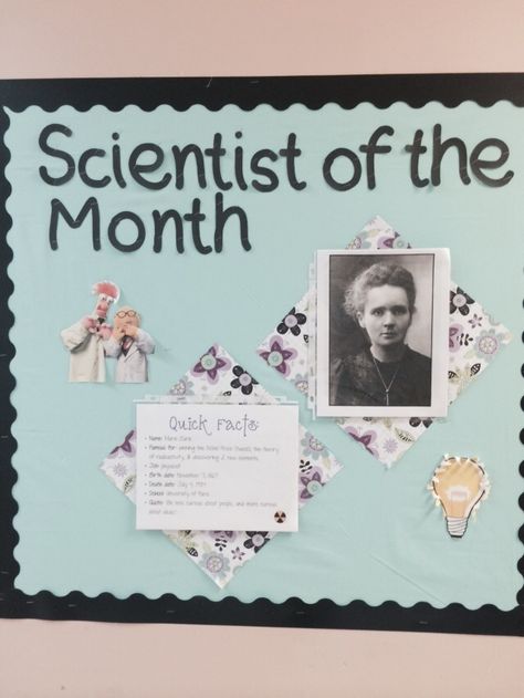 A different scientist gets added each month. This is displayed outside of the room for all to see. -J.Hudson Science Lab Classroom Decorations, Science Bulletin Board Ideas High School, Chemistry Bulletin Board Ideas, Science Lab Classroom Design, Scientist Of The Month, Elementary Science Lab Classroom, Scientist Of The Month Bulletin Board, Lab Decorations Science, Earth And Space Science Classroom Decor