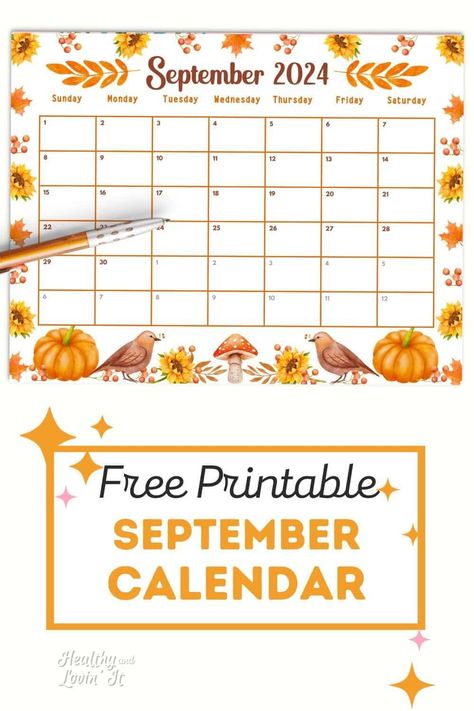 These free monthly calendar printables are for the month of September! The cute fall calendar features pumpkins and sunflowers. This one would be cute for a classroom calendar. There is also a simple blank calendar. The cute calendar template is a free printable PDF. organizational printables Cute Calendar Template, September Calendar Printable, Fall Calendar, Homeschool Calendar, Free Monthly Calendar, Organizational Printables, Blank Monthly Calendar, September Calendar, October Calendar