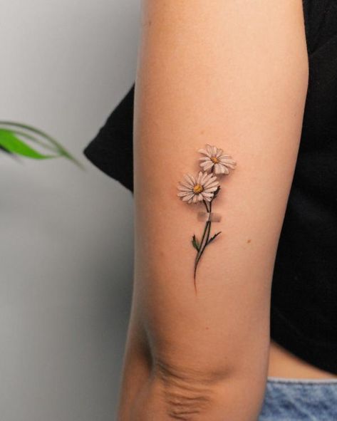 Daisy Tattoo Cover Up Ideas, Botanical Daisy Tattoo, Tattoo Ideas Female Daisy, Minimal Daisy Tattoo, Margarita Flower Tattoo, Olivia Tattoo, White Daisy Tattoo, Small Daisy Tattoo, Daisy Tattoos