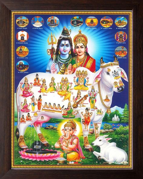 Shivling Painting, Kamadhenu Cow, Shiva In Meditation, श्री गणेश, All God Images, Kali Mata, Aadi Shakti, Shiva Family, Lakshmi Images