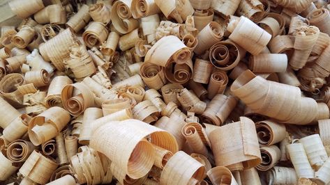 The smell of fresh western red cedar wood shavings is awesome. #westernredcedar #woodworking #wood Perfume Notes, Wood Illustration, Wood Shavings, Red Cedar Wood, Wood Project, Wood Chips, Woodworking Wood, Cedar Wood, Western Red Cedar