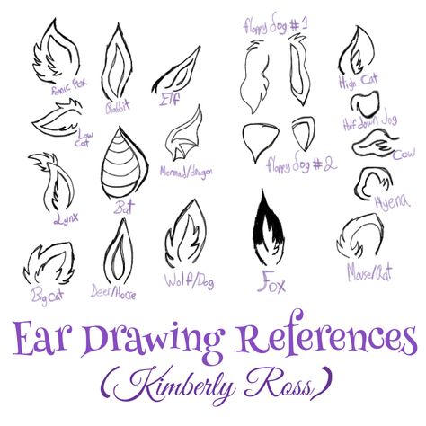 Drawing References For Ears. Fantasy Ear Drawing, How To Draw Ears Animals, Ears Drawing Animals, Animal Ear Reference, Types Of Ears Drawing, Different Types Of Ears Drawing, Animals Ears Drawing, Oc With Animal Ears, Animal Ear Drawing Reference