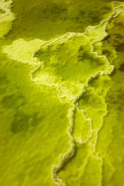 Dallol Ethiopia, Yellow Green Aesthetic, Lime Punch, Chartreuse Color, Scenery Photography, Yellow Lime, Chartreuse Green, Color Wave, Green Theme