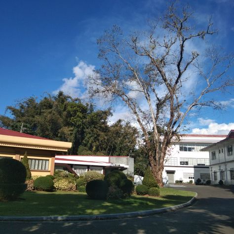 Bukidnon provincial capitol Malaybalay city House Styles, Quick Saves, Home Decor, Home Décor