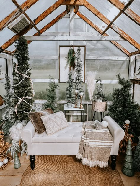 Greenhouse Photo Studio, Greenhouse Mini Session, Christmas Greenhouse Photoshoot, Greenhouse Christmas Photos, Christmas Greenhouse, Greenhouse Photography, Photoshoot Studio Ideas, Greenhouse Photoshoot, Photography 2023