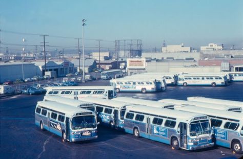 50 Fascinating Photos Show the Bus System of San Diego in the 1970s ~ Vintage Everyday Express Bus, Bus System, San Diego State University, Downtown San Diego, Vintage Everyday, San Diego Zoo, Bus Coach, Bus Travel, Balboa Park