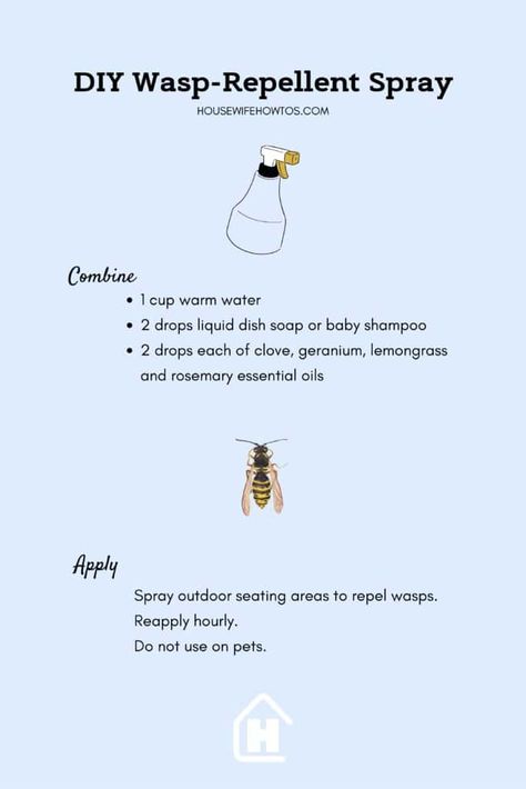 Natural ways to keep wasps away from your home and yard Diy Wasp Spray, Wasp Repellent Essential Oils, Repel Wasps And Hornets, Bee And Wasp Repellent, Wasp Repellent Diy, Wasp Repellent Plants, Natural Bee Repellent, Natural Wasp Repellent, Wasp Sting Remedy