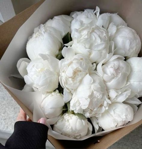 White Peonies Aesthetic, Amara Rossi, Peonies White, Florist Supplies, Nothing But Flowers, Peonies Bouquet, Flower Therapy, Beautiful Bouquet Of Flowers, White Peonies