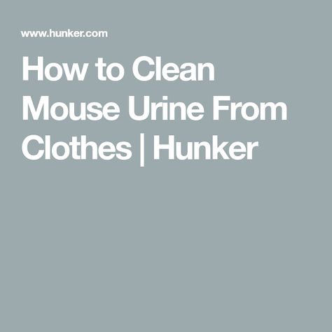 How to Clean Mouse Urine From Clothes | Hunker Pee Stains, Dead Mouse, Getting Rid Of Mice, Urine Odor, Urine Stains, Mattress Pad Cover, Sweat Stains, Mattress Pad, Laundry Detergent