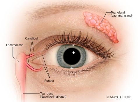 Dry Eye Remedies, Blocked Tear Duct, Eye Health Remedies, Dry Eye Symptoms, Warm Compress, Parts Of The Eye, Eye Infections, Dry Eye, Watery Eyes