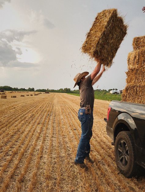 American Farm Aesthetic, Farmer Boy Aesthetic, Farm Boy Aesthetic, Cade Eaton, Chestnut Springs Series, Devney Perry, Chestnut Springs, Elsie Silver, Cowboy Romance