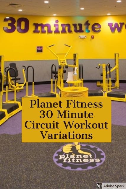 Planet Fitness 30 Minute Circuit, Planet Fitness Machines, Planet Fitness Workout Plan, Gym Workouts Machines, Workout Circuit, Fitness Blender, Gym Machines, Fitness Video, Planet Fitness