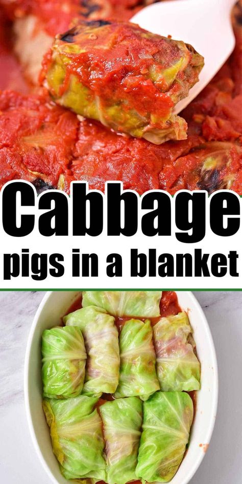 Pigs In A Blanket Recipe Cabbage, Pigs In The Blanket, Cabbage Stuffed, Pigs In A Blanket Recipe, Baked Cabbage, German Foods, Chili Dip, Cabbage Rolls Recipe, Healthy Vegetable Recipes