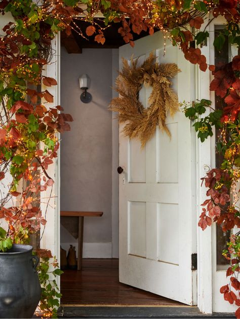 The Fall Shop: Shop and Featured - Terrain Branch Light, Cedar Wreath, Fall Forward, Metal Objects, Warm White Led Lights, Power Converter, Harvest Decorations, Water Hyacinth, White Led Lights