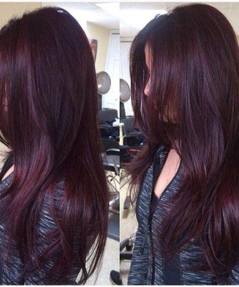 Pelo Color Vino, Hair Color Mahogany, Dream Salon, Hair Color Plum, Copper Balayage, Plum Hair, Hair Color Chocolate, Violet Hair, Hair Color Burgundy