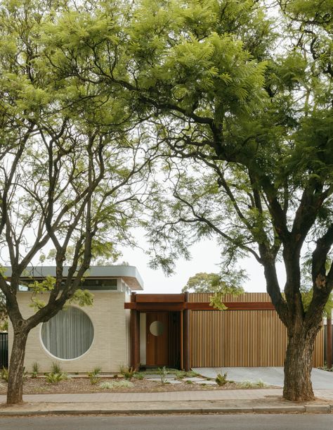 Steel Pergola, Passive Design, Suburban House, Adelaide Australia, Brick Veneer, Top Architects, Most Beautiful Gardens, Australian Architecture, Natural Ventilation