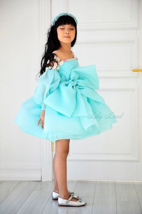 Princess Dress Fairytale, Party Dress Inspiration, Dress Organza, First Birthday Dress, Daughter Outfits, Prom Photoshoot, Fairytale Princess, First Birthday Dresses, Dress Tutu