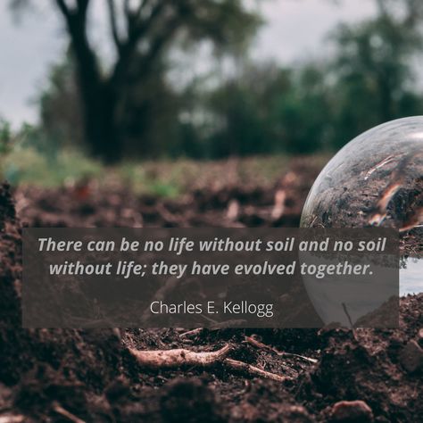 We 💚 this quote! Soil is more than just dirt - it's the giver of life, provider of food, and foundation for our world. Healthy soil means healthy plants and healthy people! Soil Quotes Inspiration, Soil Quotes, Agriculture Quotes, Analysis Quotes, Soil Conservation, Healthy Soil, Plants Quotes, Quality Quotes, About Quotes