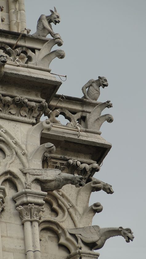 Gargoyles Protecting Notre Dame Gargoyles Aesthetic, Medieval Gargoyles, Notre Dame Gargoyles, Gargoyles Art, Gothic Gargoyles, Gothic Statue, Architectural Sculpture, Gothic Cathedrals, Roman Architecture