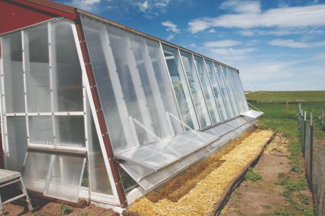 Build your own passive solar greenhouse using tips and advice from a builder with decades of greenhouse construction experience. Passive Greenhouse, Passive Solar Greenhouse, Greenhouse Construction, Greenhouse Farming, Solar Greenhouse, Water Barrel, Portable Greenhouse, Harvest Basket, House Foundation