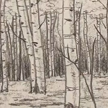 Mark Liam Smith on Instagram: "Draw a forest 🌳🌳 Draw trees. Easy drawing lesson for absolute beginners. #howtodraw #artlesson" Trees Easy Drawing, Ink Sketching, Draw Trees, Quick Art, Forest Drawing, Drawing Lesson, Birch Forest, Easy Doodles, Doodles Drawings