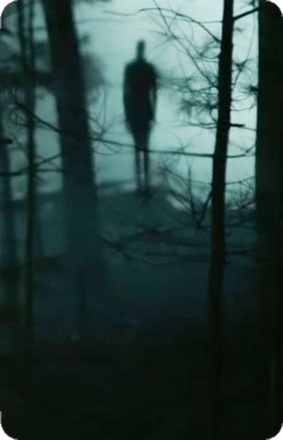 The Long Dark, Slender Man, Slenderman, Jump In, Forest