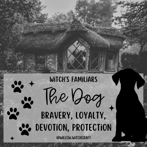 Witch's Familiars ~ The Dog 🐕 #todaysposts #topicoftheday #witchsfamiliar #witch #witchlife #familiars #animalfamiliar #dog #dogwitchfamiliar Spirit Animal Meaning, Memories Ideas, 10 Tattoo, Animal Meanings, Art Planner, Witches Familiar, Spiritual Animal, Wiccan Magic, Animal Guides