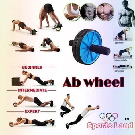 The ab roller is a small, yet robust piece of equipment that fully activates the core muscles and the upper body. It features a wheel, attached with a handle on each side, that smoothly glides along most surfaces. See link to get your own! Ab Roller Workout, No Equipment Ab Workout, Core Strength Training, Ab Core Workout, Exercise Wheel, At Home Abs, Ab Roller, Workout Equipment, At Home Exercises