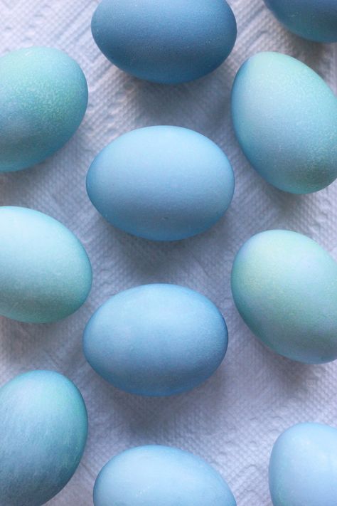 One of my favorite colors is robin's egg blue. I think the difficulty in recreating the color using dyes and food coloring makes it all that more attractive to me. Only Mother Nature can produce a blue that spectacular. So it only makes sense that the magnificent turquoise hue can be replicated Creative Easter Eggs, Diy Dye, Metallic Gold Paint, Egg Dye, Easter Egg Dye, Edible Gold, Easter Eggs Diy, Easter Egg Decorating, Red Cabbage