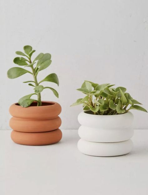 Clay Plant Pots, Aesthetic Plant, Clay Arts, Idea Box, Beginner Pottery, Pinch Bowls, Diy Air Dry Clay, Clay Planters, Air Dry Clay Projects