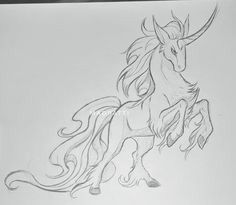 Mythical Animal Sketches, Pegasus Reference Drawing, Mythical Creatures Sketches, Fantasy Animal Sketches, Unicorn Drawing Sketches, Pegasus Sketch, Unicorn Reference, Pegasus Drawing, Unicorn Sketch