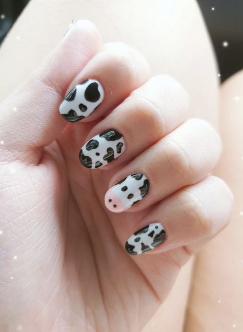 Cow Nails Designs Short, Nails Design Cow Print, First Time Acrylic Nails Ideas Short, White And Cow Print Nails, Nails Acrylic Animal Print, Cute Nail Designs Cow Print, Cow Print Nail Ideas Short, Cow Spot Nails, Cow Print Nails Diy